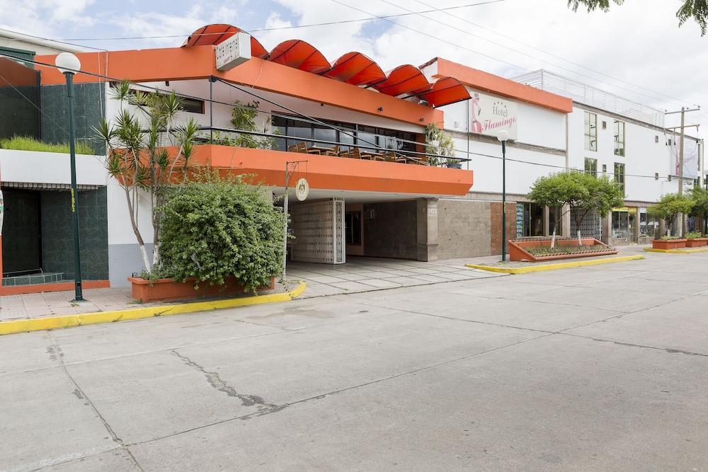 Hotel Flamingo Irapuato Extérieur photo