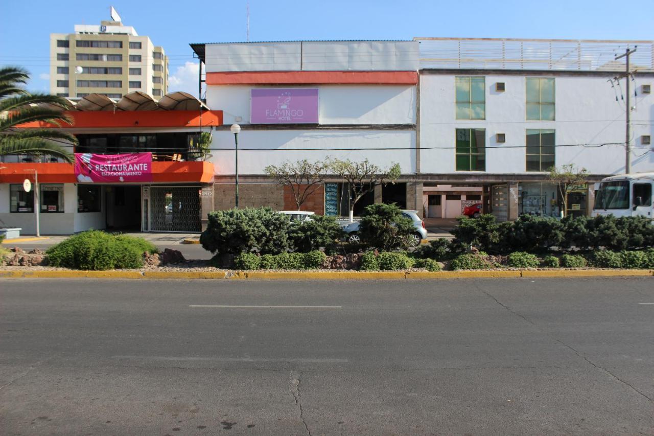 Hotel Flamingo Irapuato Extérieur photo